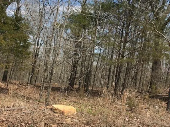 Lots 24 & 25 Chism Trl, Hardy, AR 72542