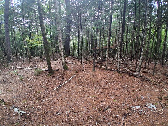 3rd image of 14-257 Garfield Road #N-6 Sec2