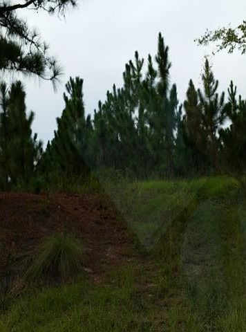 2nd image of Tbd Nc-73