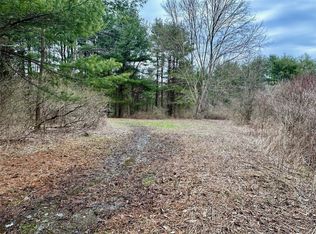 0 Coddington Rd #9, Brooktondale, NY 14817