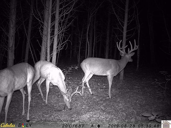 2nd image of 000 Big Bear Hwy