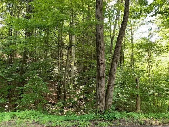 L11.12 Alcove Road, Coeymans Hollow, NY 12046