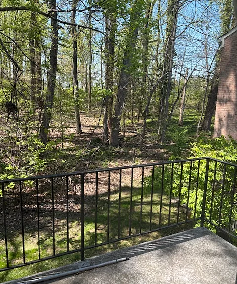10618 Kenilworth Ave #203 — Photo 3