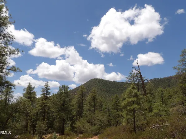 018E &014U Pine Hollow Trail #018E & 014U, Pine, AZ 85544