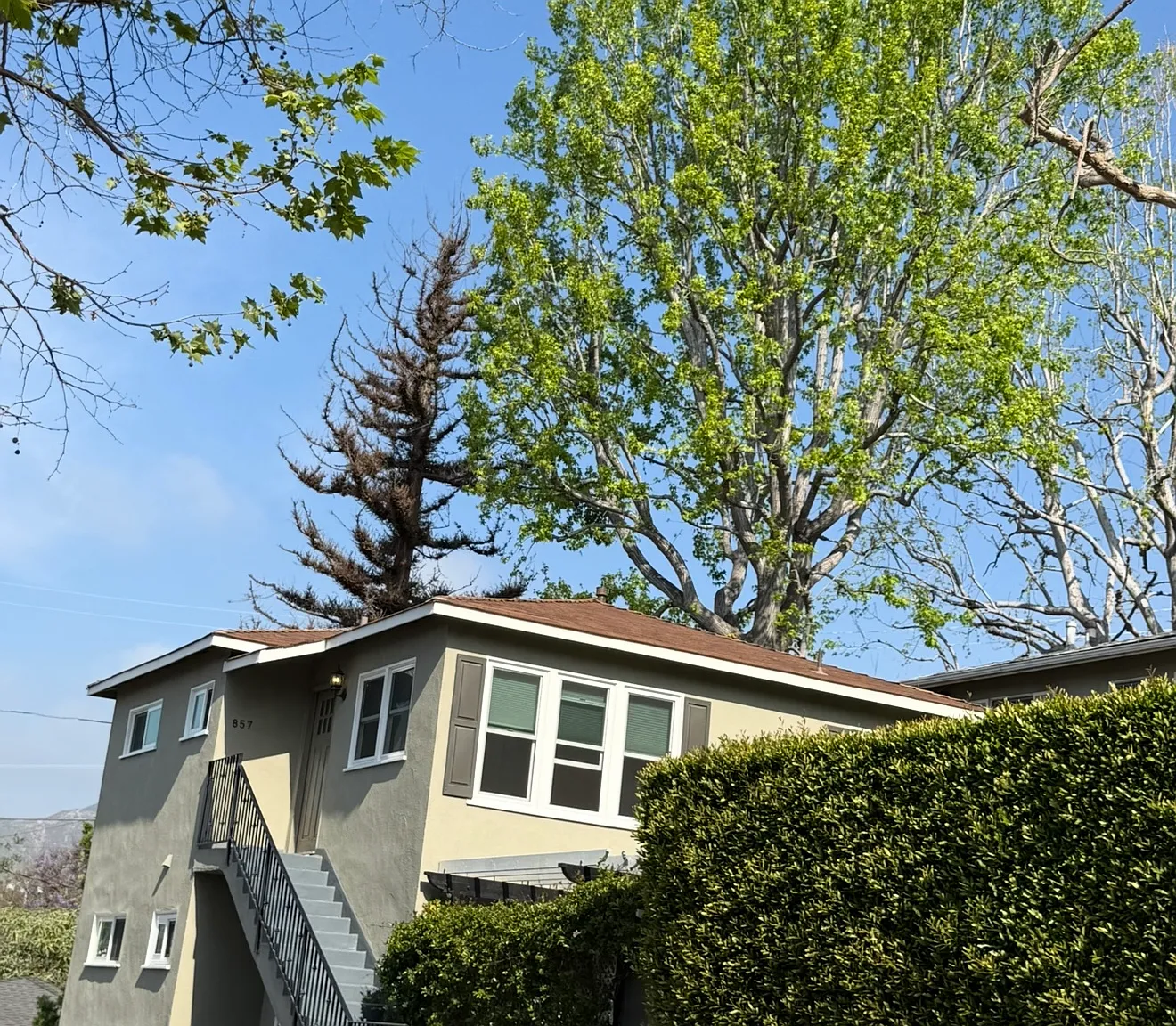 Haverford Ave, Pacific Palisades — Photo 1