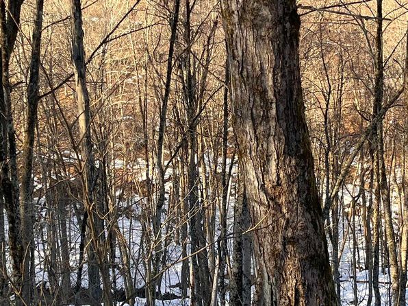 TRACT 3 Fill Hollow Rd, Tunnelton, WV 26444