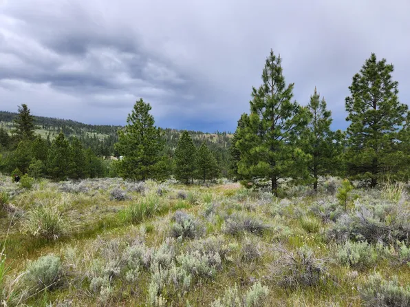 Reeves Basin Rd, Tonasket, WA 98855
