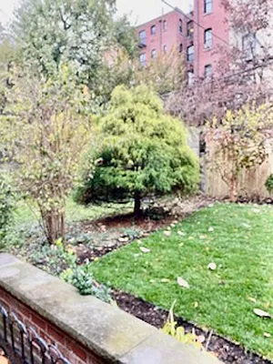 Rented by Douglas Elliman | media 10