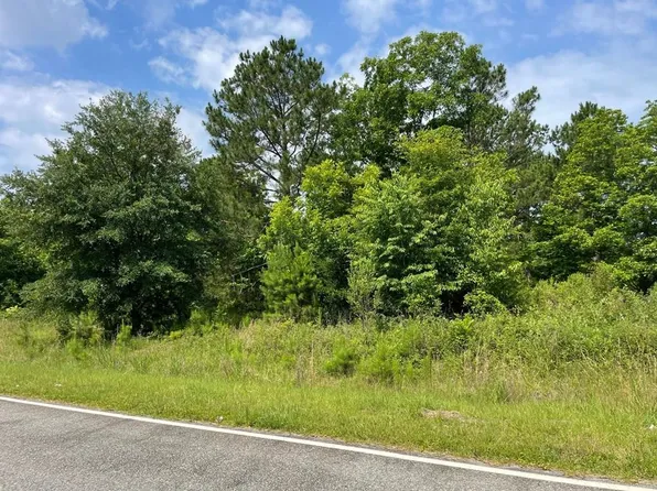 0 Bobwhite Ln, Ocilla, GA 31774