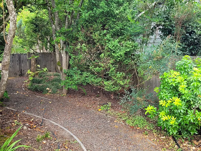 The house is surrounded with flower beds and a private path to go around to the back of the house. Photo taken in the Fall.