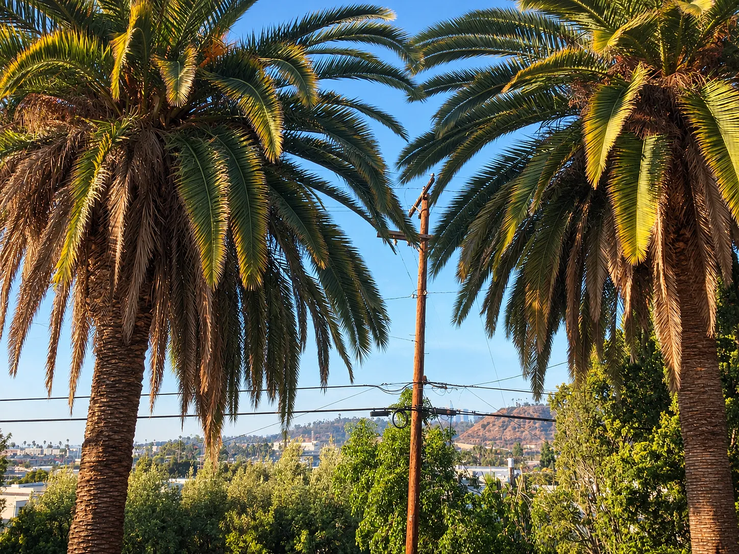 2 bed, 600 sqft, $2,600 — Photo 3