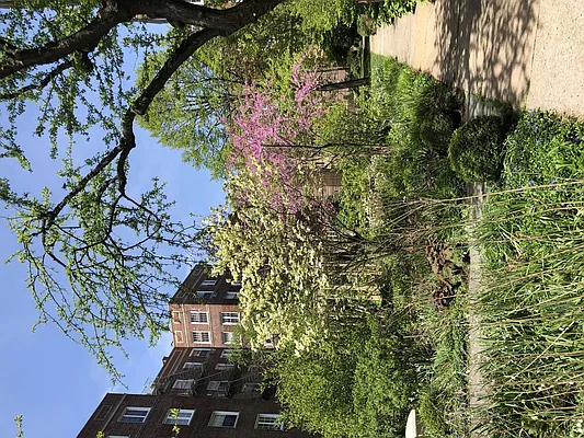 Sold by Owner | media 52