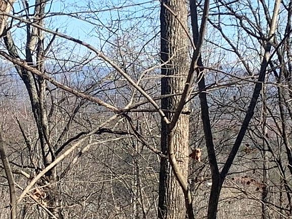5th image of 102 Badger Rd