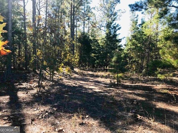 245 Dog Track Rd, Mauk, GA 31058