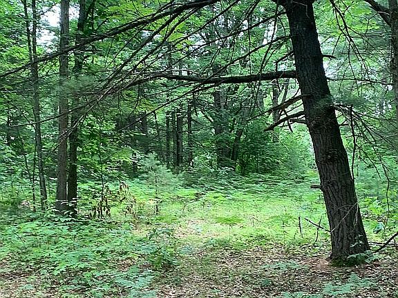 5th image of Avenue Interlochen #0