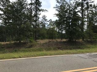 0 Mel Blount Rd LOT 5, Vidalia, GA 30474