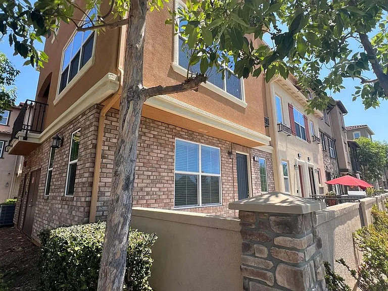 115 Aliso Ridge Loop — Photo 23