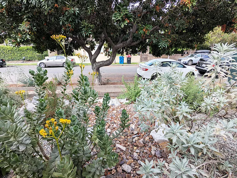 5931 Comey Ave — Photo 28