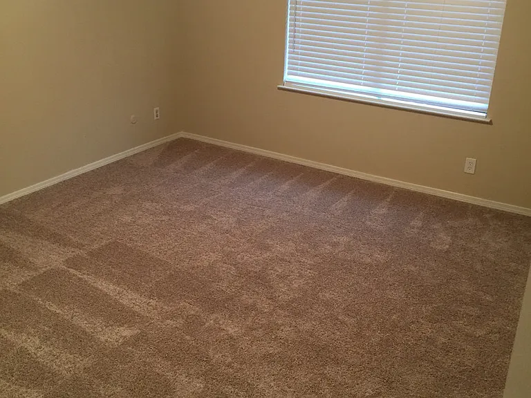 110 Rock Ravine Ct — Photo 9