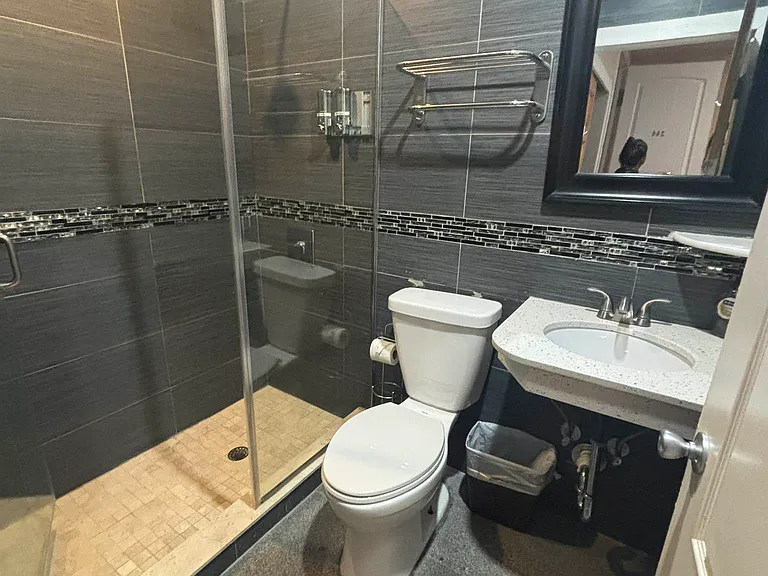365 W 46th St #301 — Photo 11