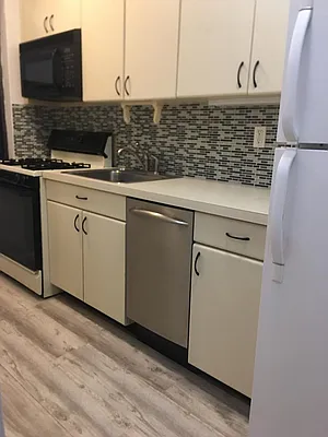 Rented by Manhattan Flats | media 17