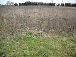1st image of Dougs Ln