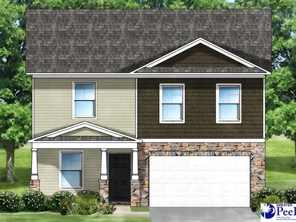 3078 Black Bird Dr Lot 60, Effingham, SC 29541