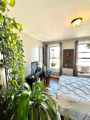 2nd image of 558 Lexington Ave Floor 4