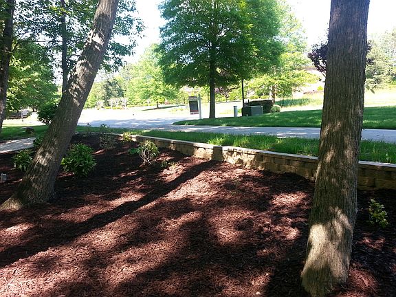 Front woods/drive