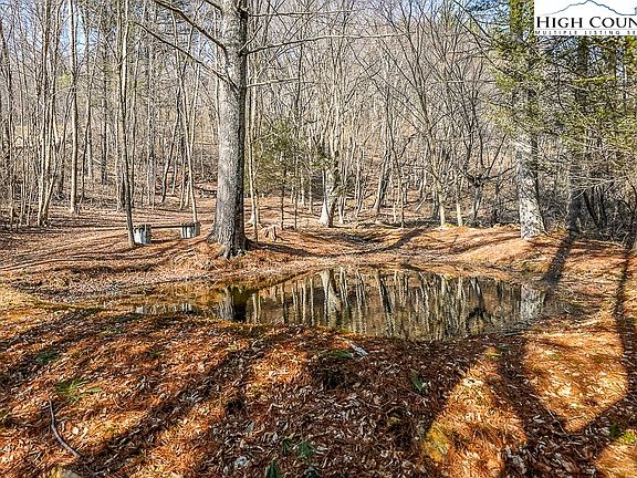 9th image of this home