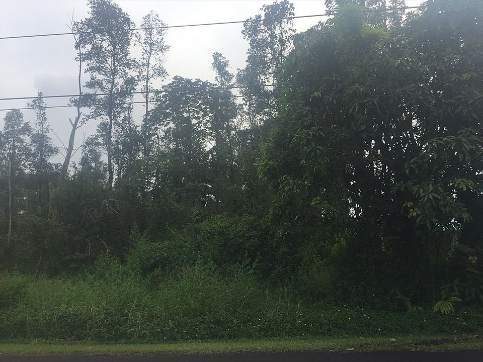 1st image of Anthurium Dr