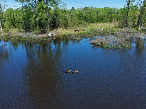 0 Hempstead #341, Ozan, AR 71855