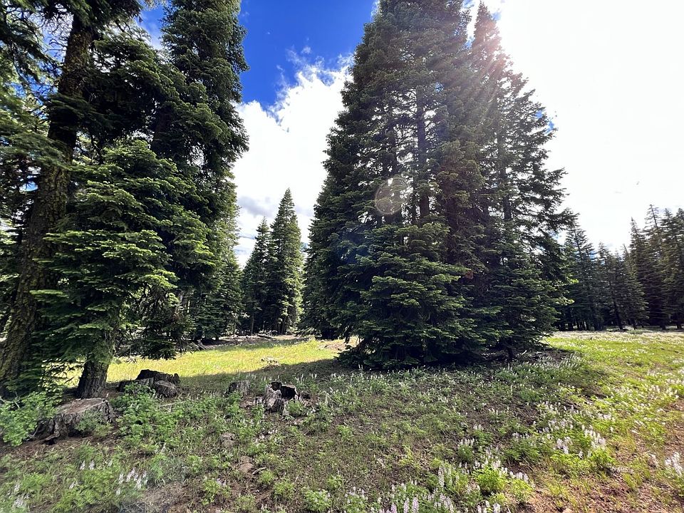 LOT 64 Laramie Rd, Alturas, CA 96101 Zillow