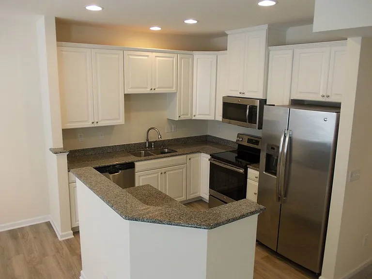 7411 Red Mulberry Way #1076D — Photo 8