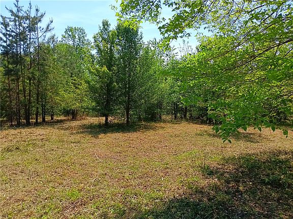 3rd image of 00L-1 Hickory Cove Rd