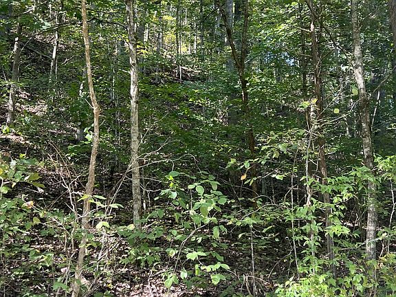 3rd image of 0 Neeley Creek Rd