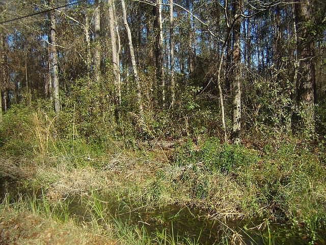 1st image of Cc Rd