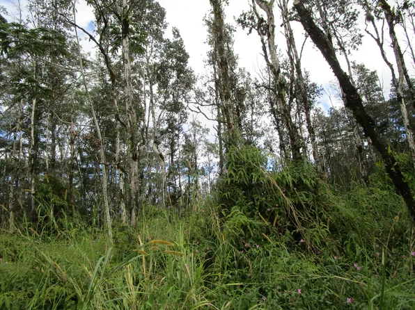 Seaview Rd Lot 27, Pahoa, HI 96778