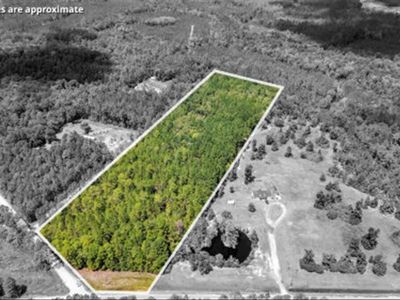 Elim Church Rd, Ludowici, GA, 31316