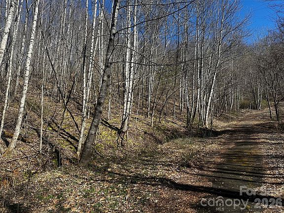 5th image of 0 Grace Ridge Rd