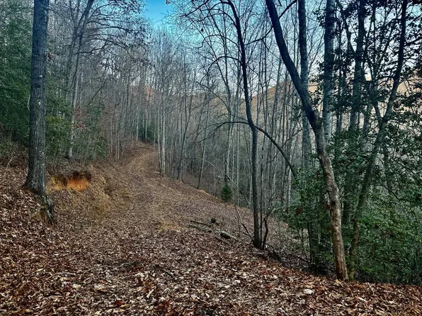 0 Bradley Creek Rd, Franklin, NC 28734