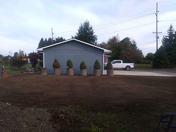 new grass coming up