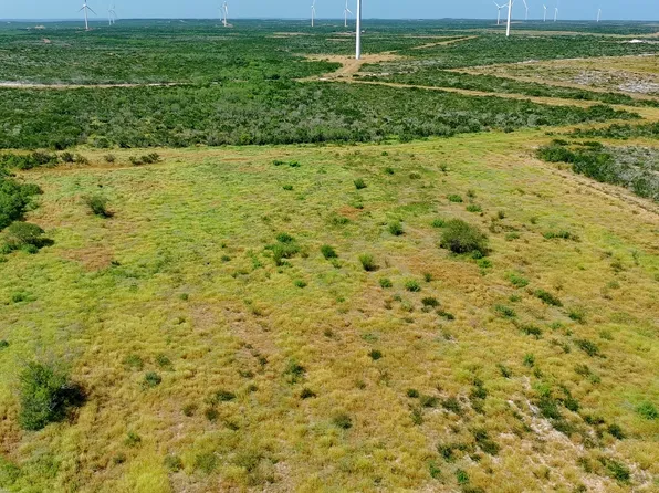 TRACT 4 (56AC) San Pablo Rd Tract 4, Bruni, TX 78344