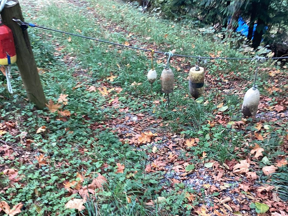 Some clearing for access lot is vacant land