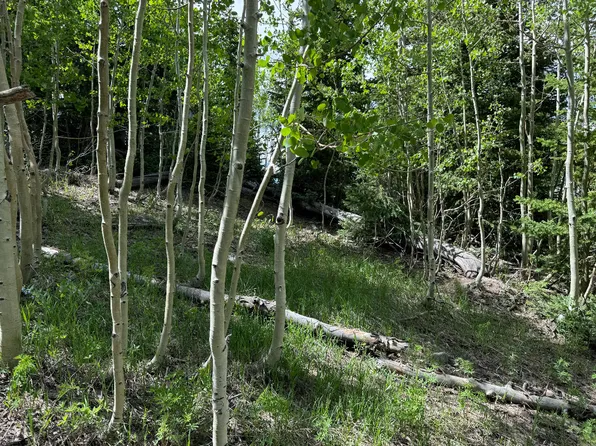 261 N Blue Jay Way, Brian Head, UT 84719