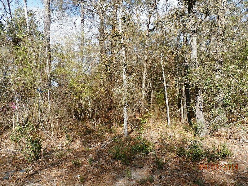 2nd image of 23 Kings Lake Blvd