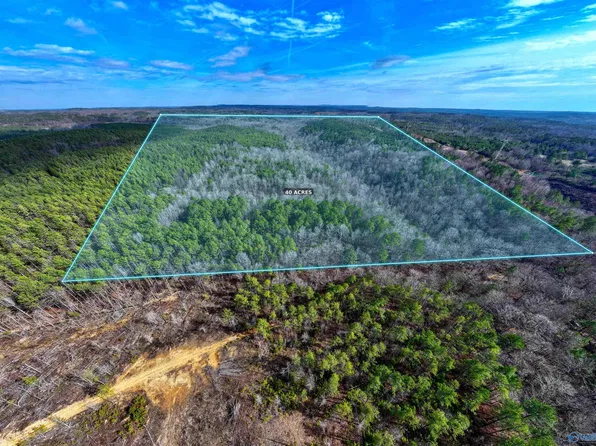40 Acres Hwy #69, Oakman, AL 35579