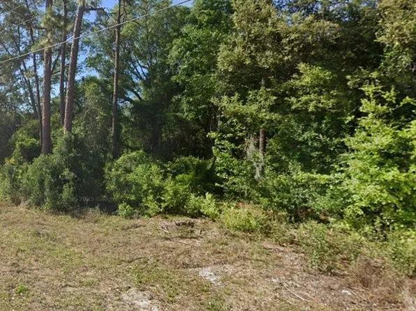 SE 17th St Lot 26, Ocklawaha, FL 32179