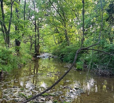 4th image of 698 Clearview Rd Lot 54.01