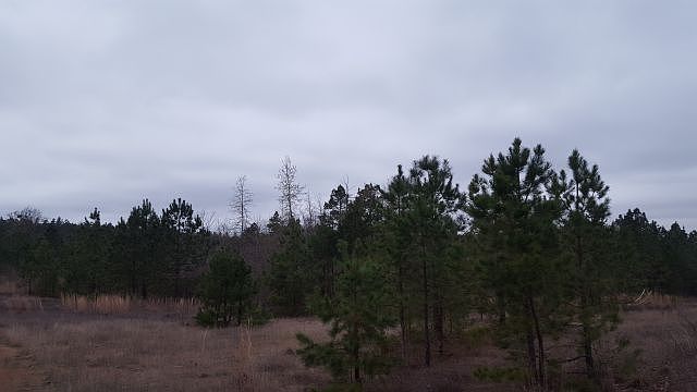 1st image of 2667 County Road 1921